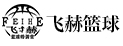 飞赫篮球特训营