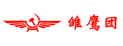 新疆雏鹰团夏令营